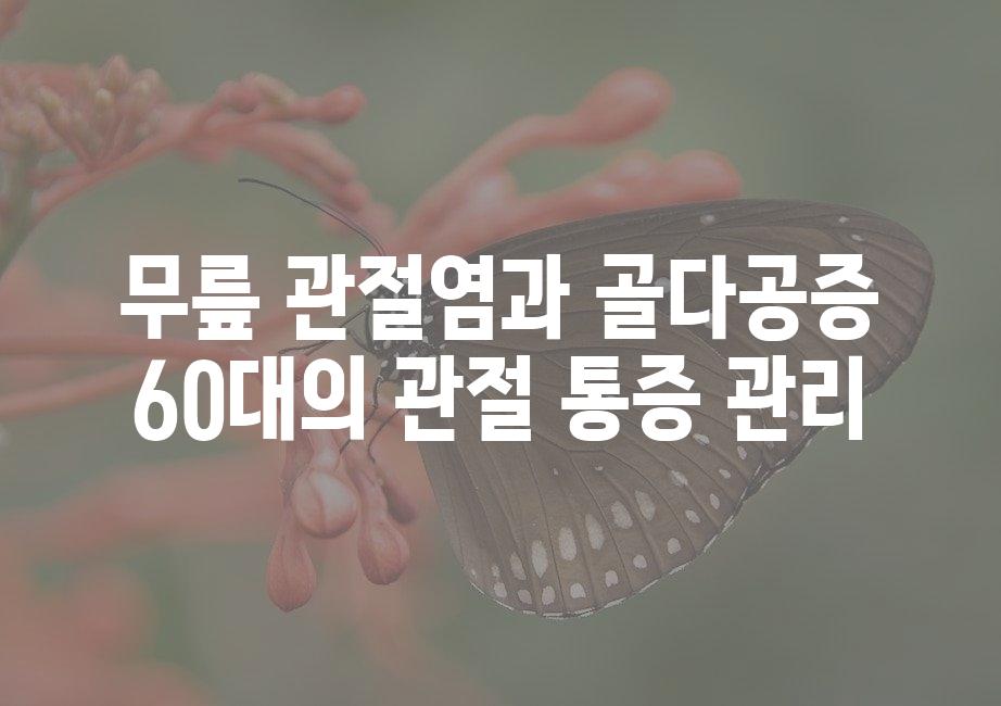 샘플 (51)