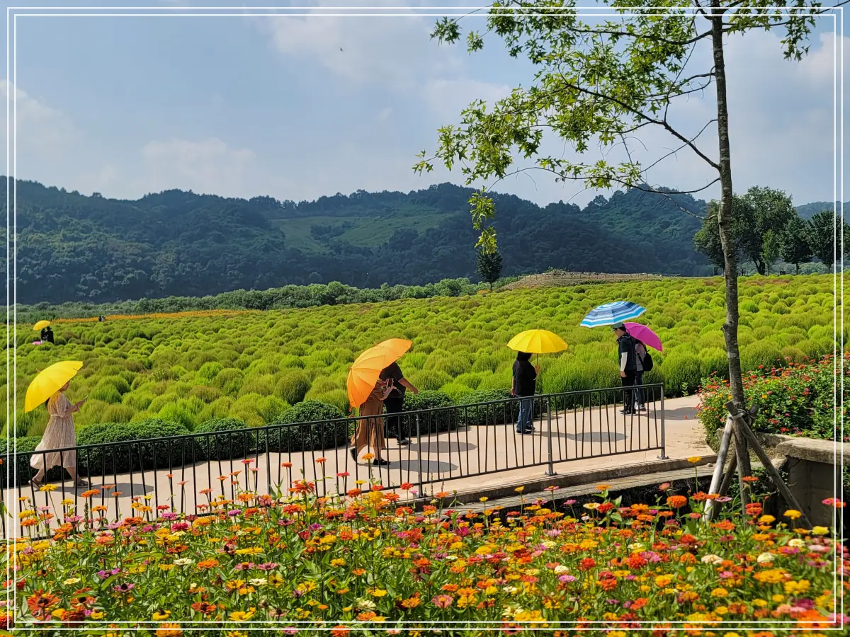 댑싸리정원-양심우산-관람객