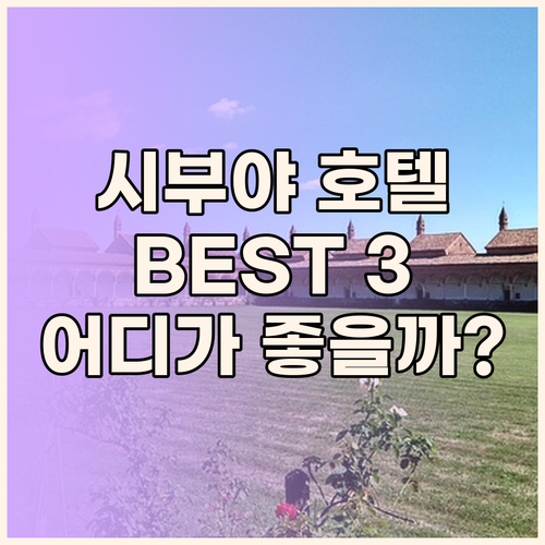 시부야 호텔, 어디로 가야 후회 없을