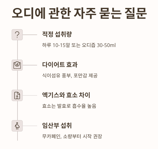 자주 묻는 질문 (FAQ)