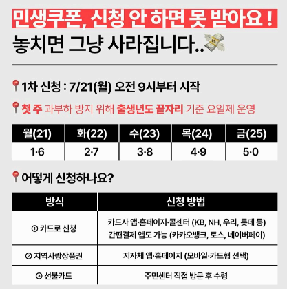 정부지원금 민생쿠폰