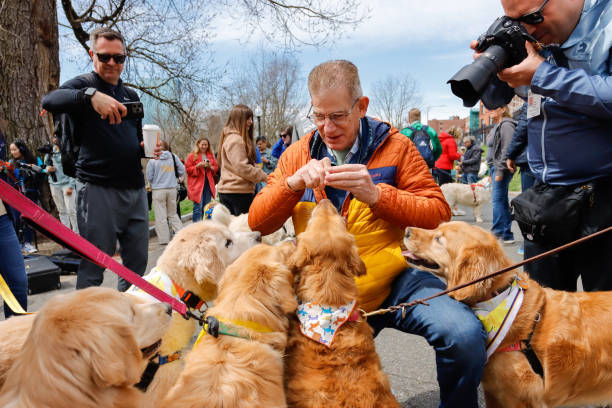 벚꽃 명소 쓰레기 예절, 반려견 매너, 사진 촬영 시 배려 팁