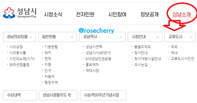 성남시청-홈페이지-성남소개-메뉴들