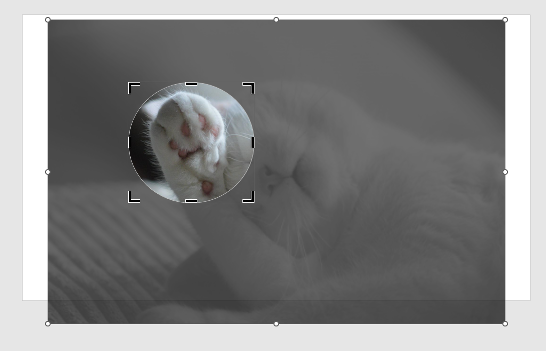 자르는 모양 수정