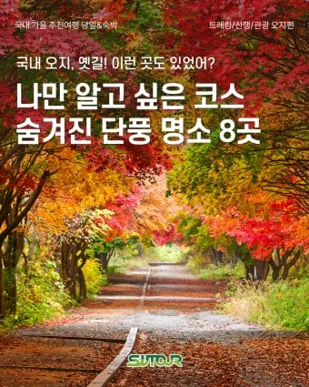 가을 단풍 여행지 베스트10 산책로 사진스팟 대중교통으로 여유롭게_30