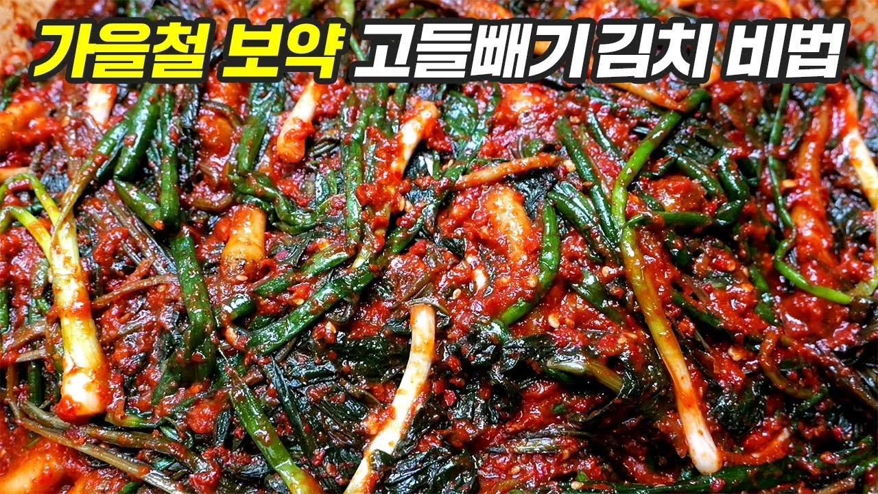 고들빼기 김치 맛나게 담는법 초보도 쉽게 따라하는 집밥 비법에 대한 절임비율_4