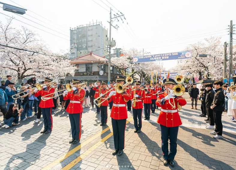 진해군항제