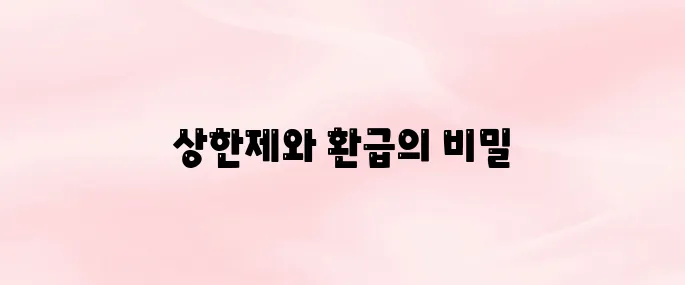 요양병원 본인부담금 상한제 및 환급