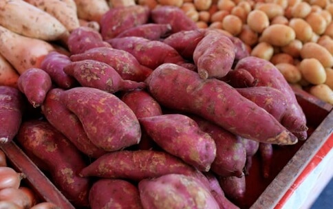 고구마 보관하는 법 완벽 가이드