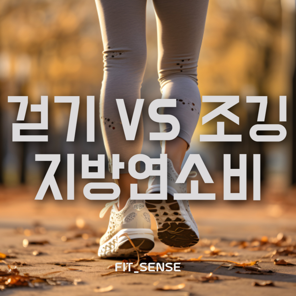 걷기 VS 조깅 - 운동별 지방 연소 효과 비교
