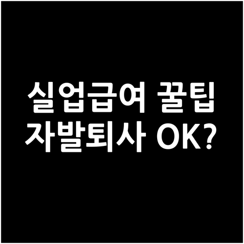 실업급여 4가지 필수 조건 자발적 퇴..