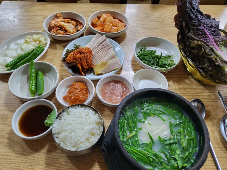 입덧에 먹은 음식, 입덧 증상