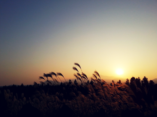 가을 여행지 추천