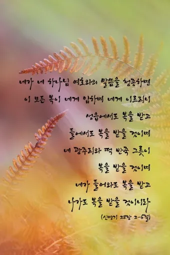 신명기 28장 축복 저주 강해_19