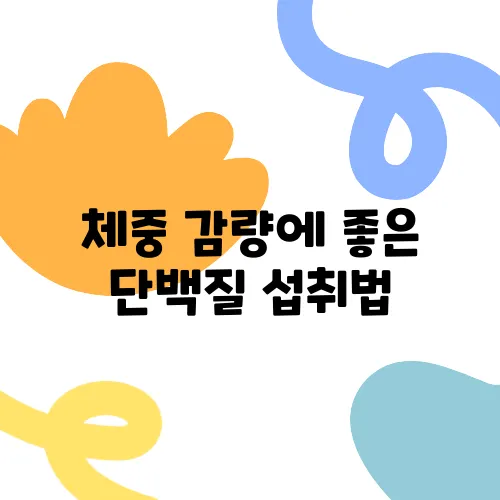 체중 감량에 좋은 단백질 섭취법