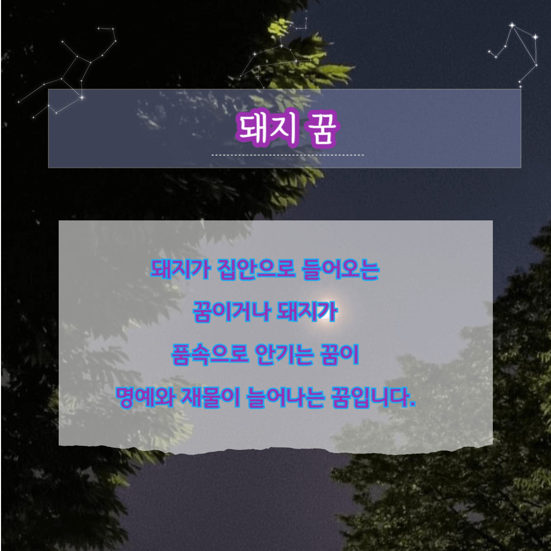 로또당첨되는 꿈-돼지