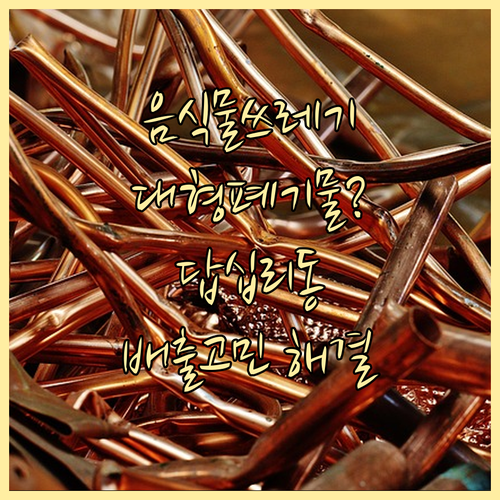 음식물쓰레기, 대형폐기물? 답십리동 ..