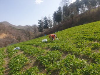 임업직불금