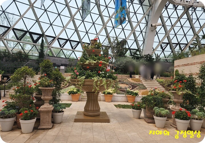 온실 안 화분들과 꽃, 나무들