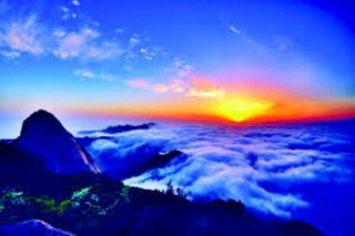 청년도약계좌 신청 방법