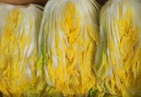 농부삼촌영농조합법인