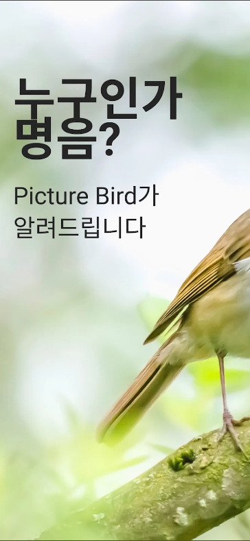 피처 버드(Picture Bird), 새종류이름 찾기, 조류이름 찾기 어플
