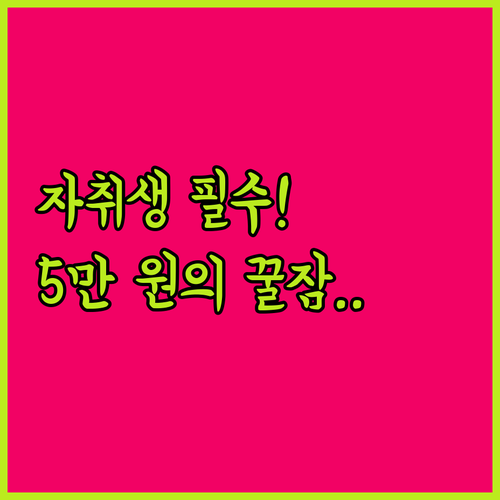 자취생 숙면 돕는 5만 원 이하 가성..