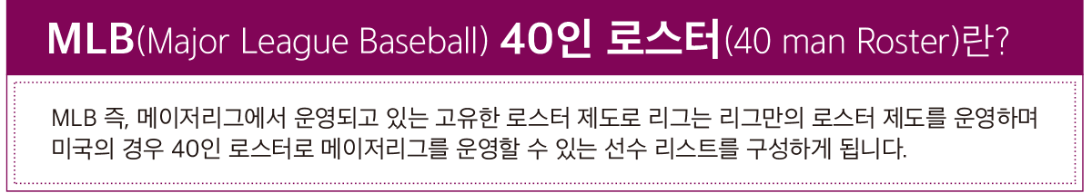 메이저리그 옵션