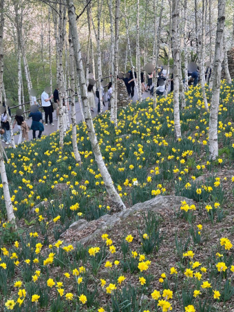 화담숲예약하기