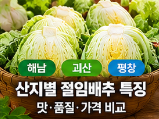 2026 절임배추 사전예약 20kg 가격 비교와 예약 시기&amp;#44; 김장 준비 방법 총정리 
