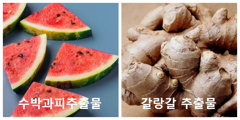 피토틱스 덱스 시트루 아르기닌, 수박과피추출물, 갈랑갈추출물