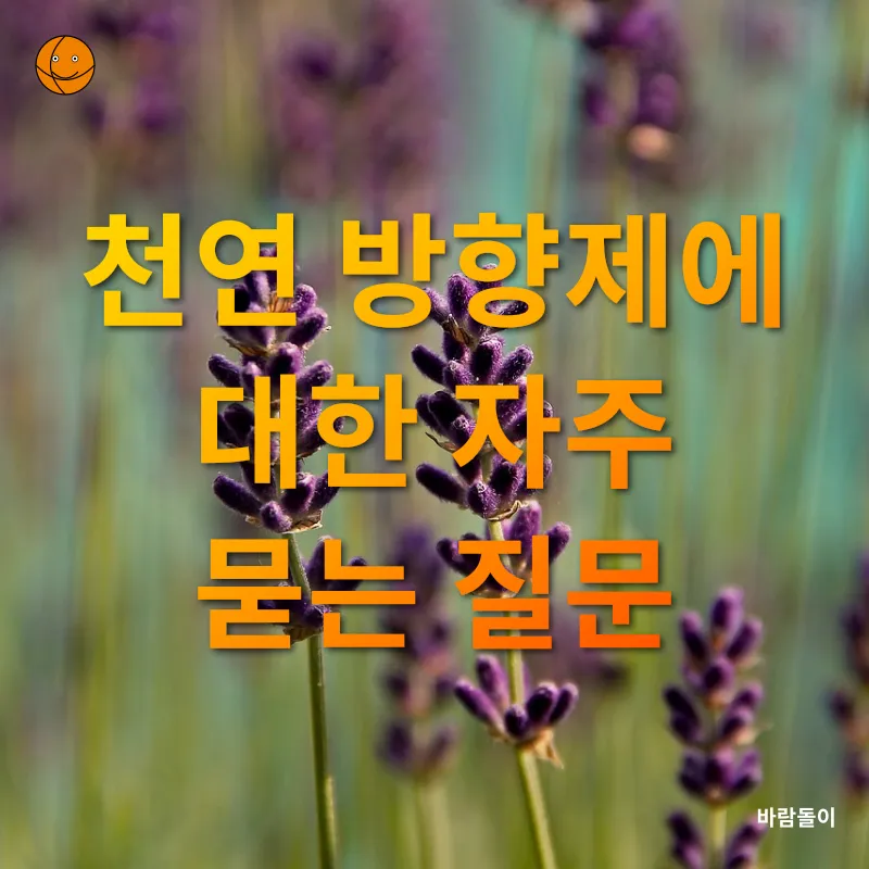 천연 방향제_4