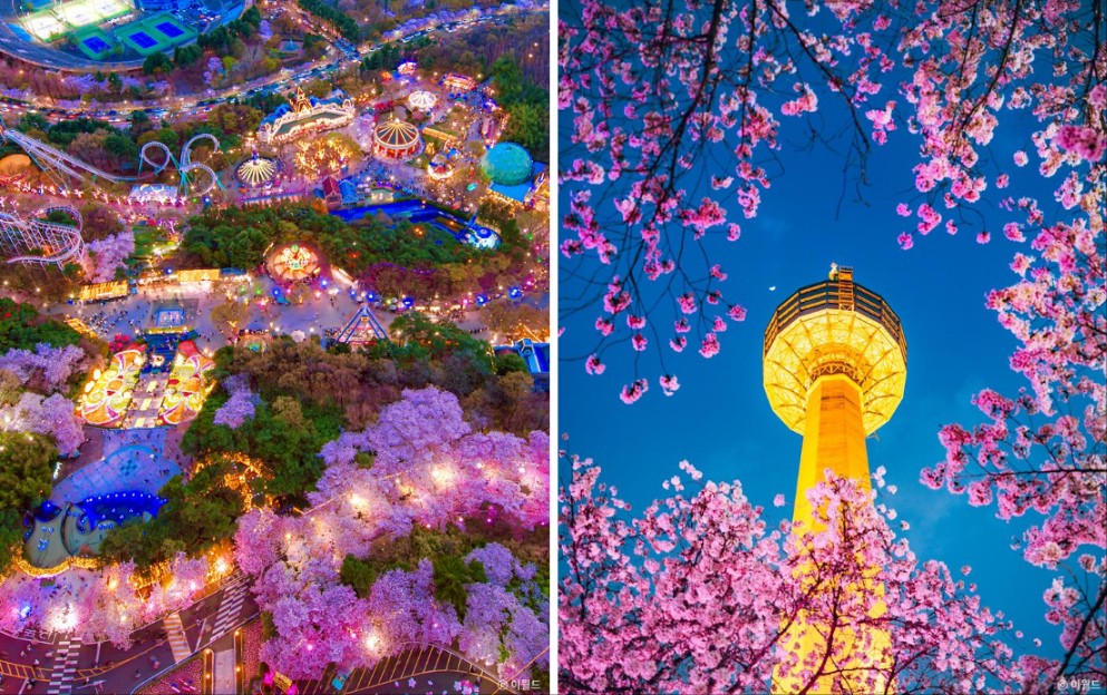 2024 이월드 블라썸 피크닉