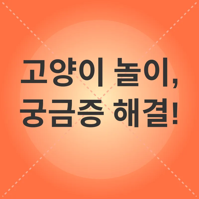 고양이 놀이_4