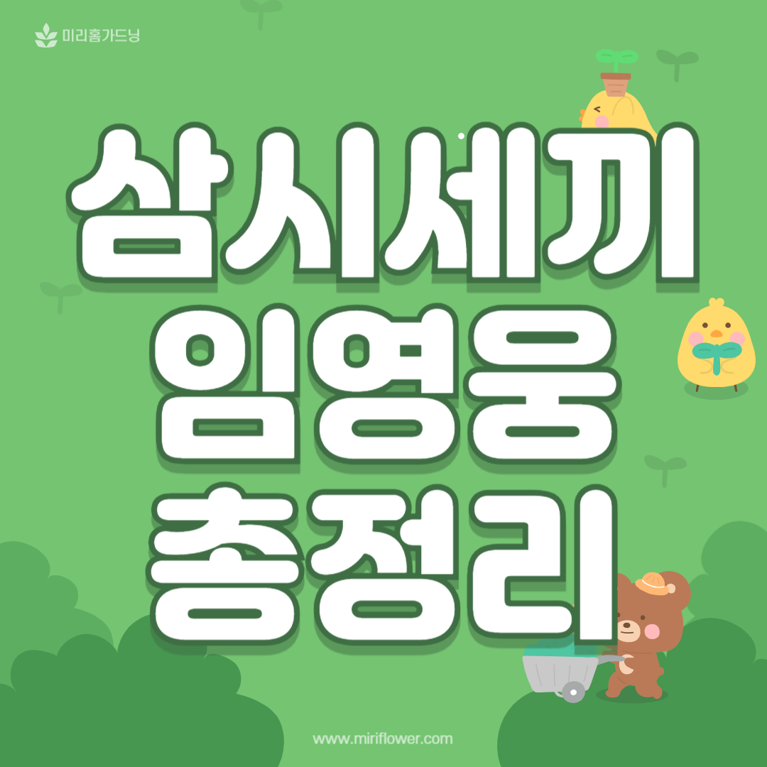 임영웅
