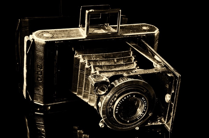 칸 영화제와 베니스 영화제