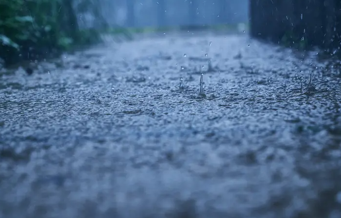 2024년 지역별 장마기간과 주의사항 확인하기