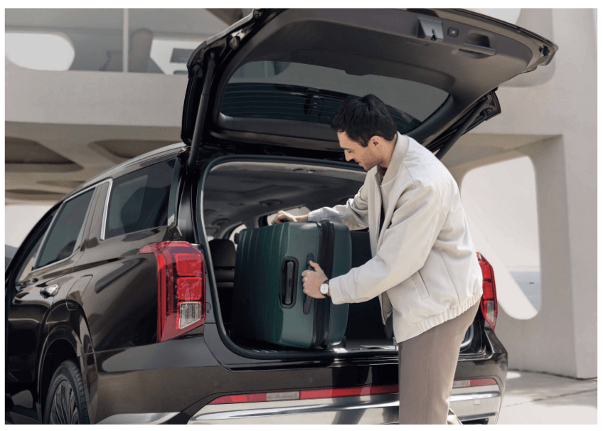 팰리세이드 하이브리드