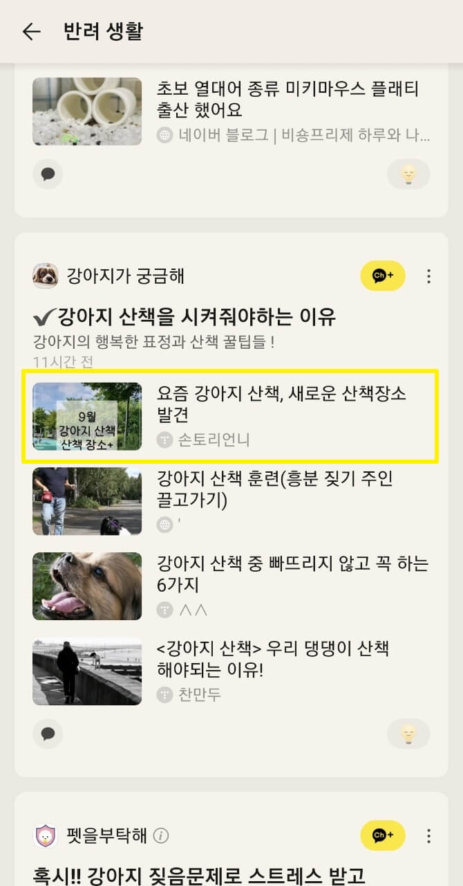 카카오뷰 글 캡처