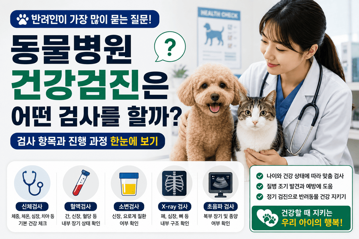 동물병원 건강검진