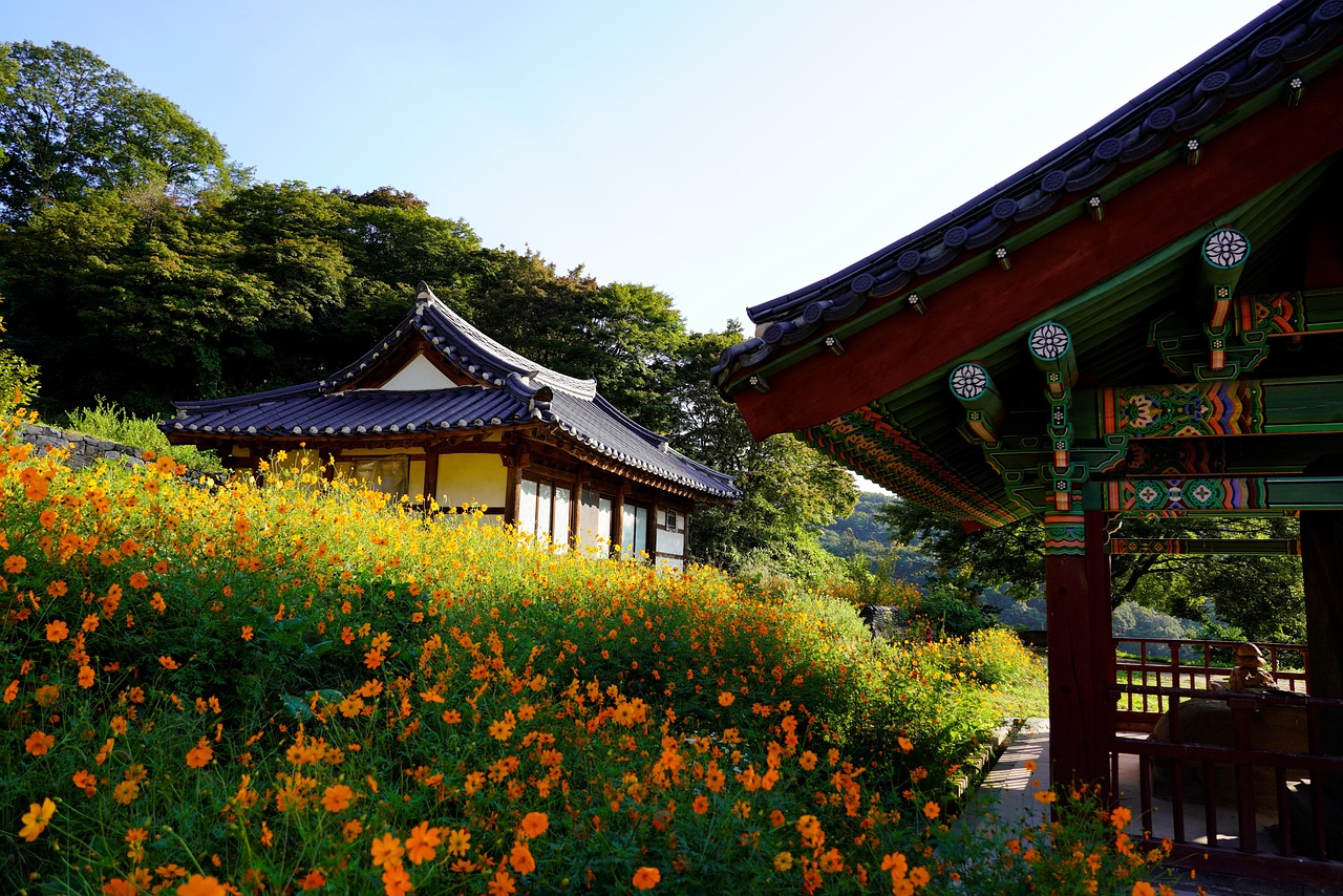 절꿈