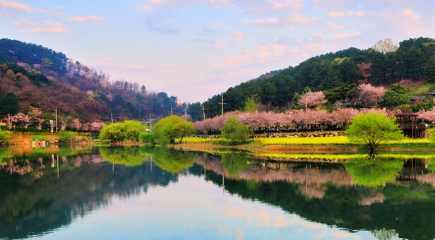 선암호수공원