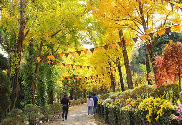 서울 단풍길 추천 BEST 7