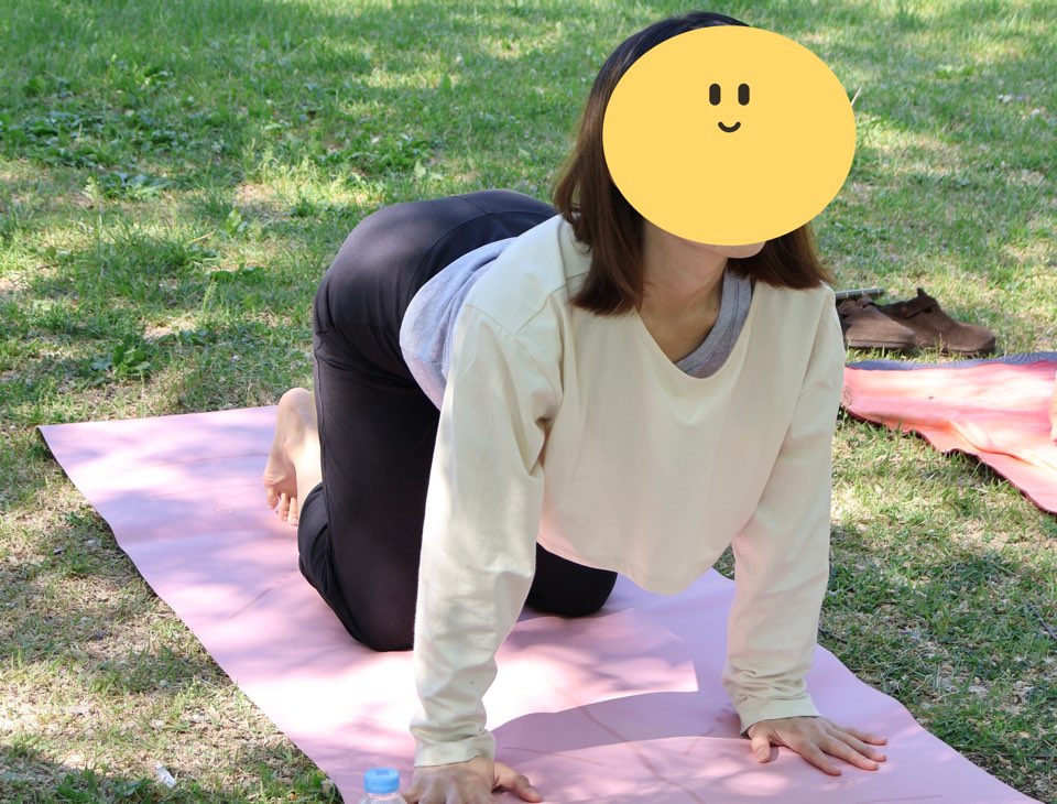 요가 해부학으로 이해하는 고양이-소 자세(Cat-Cow Pose): 호흡은 척추를 어떻게 움직일까?