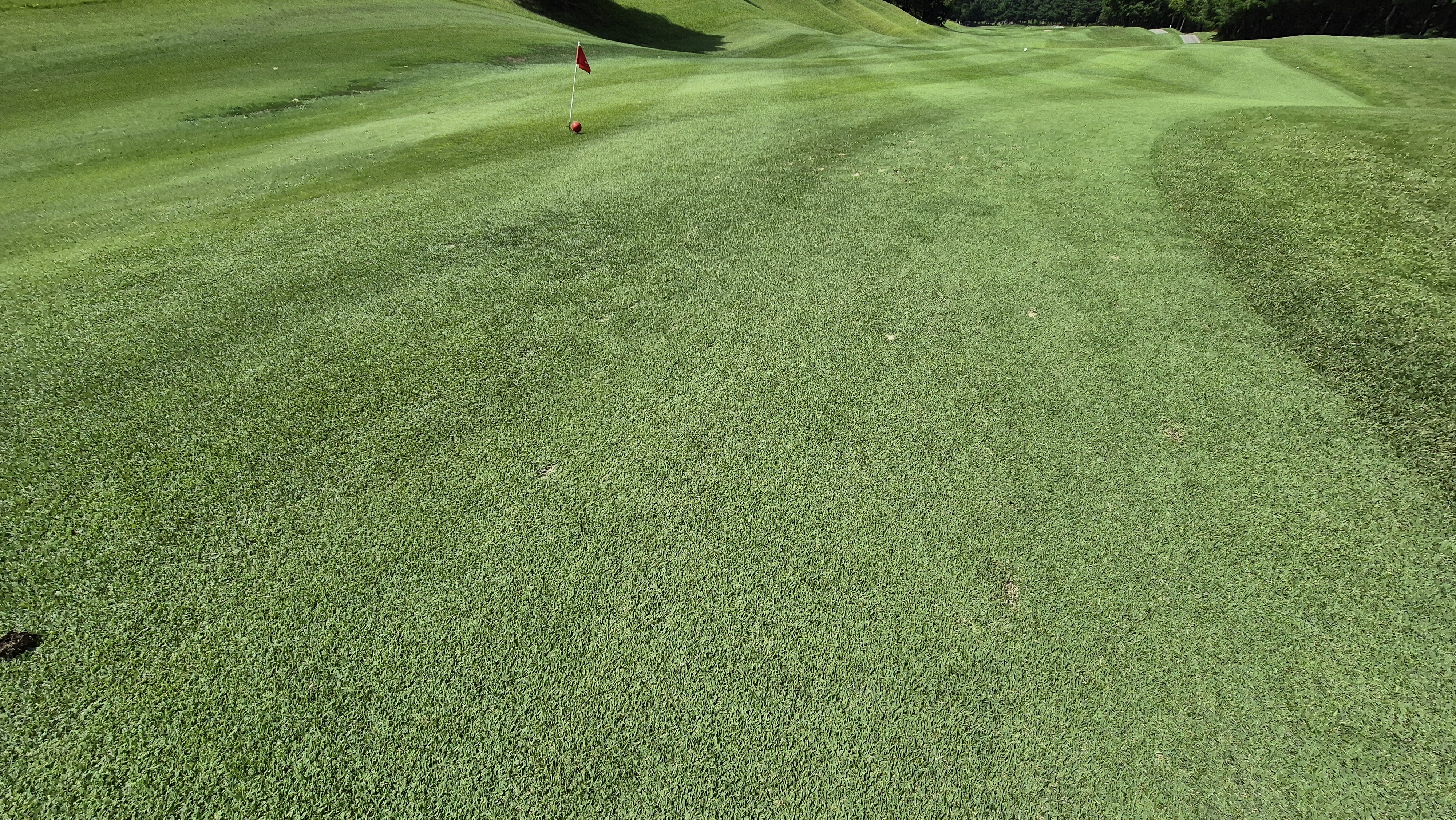 골프존카운티 천안 라운드 후기