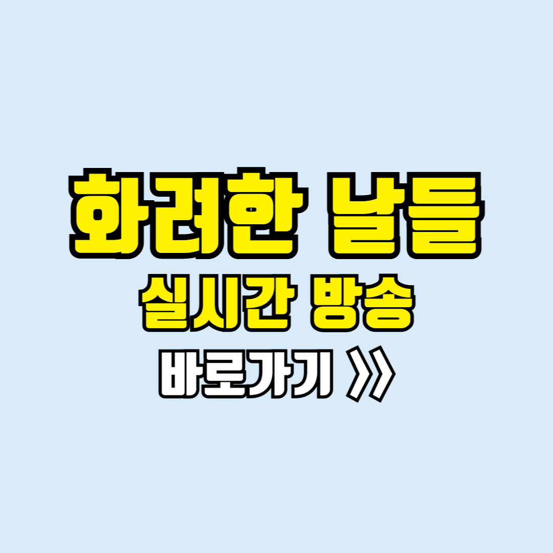 화려한날들 실시간