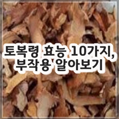 토복령 효능 10가지, 부작용 알아보기