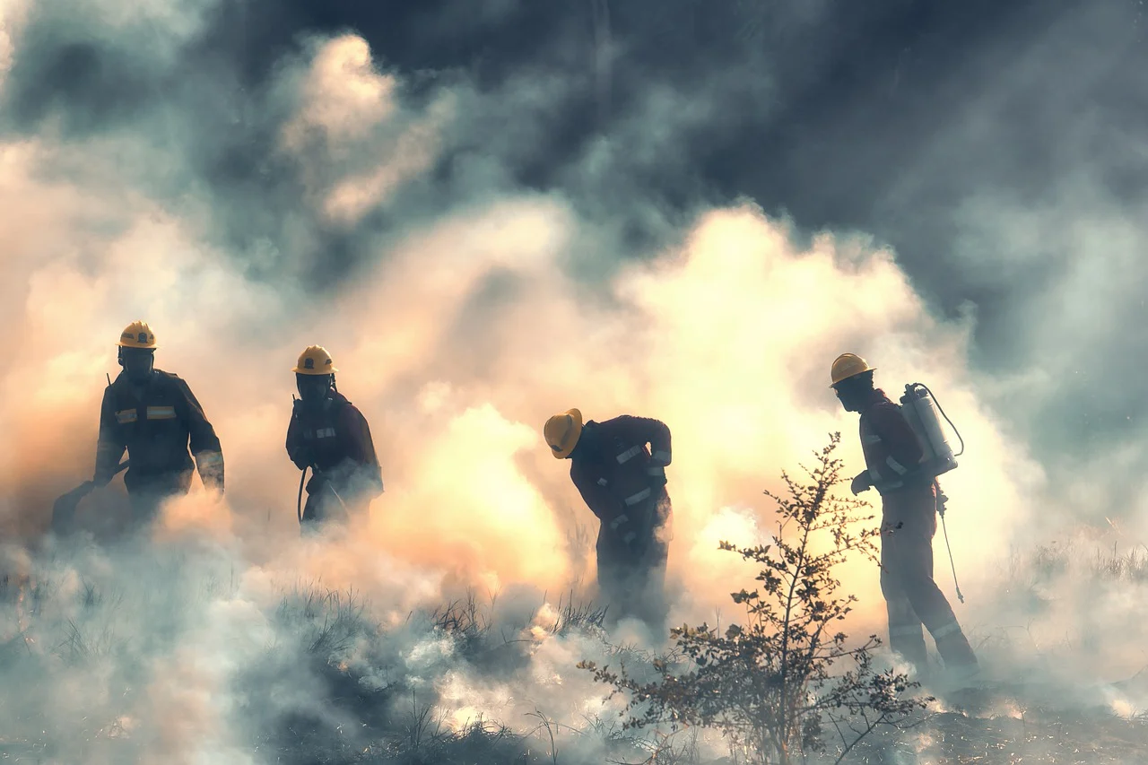 의성 안동 산청 울산 청송 경북 산불 화재 현황