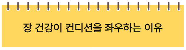 장 건강, 컨디션