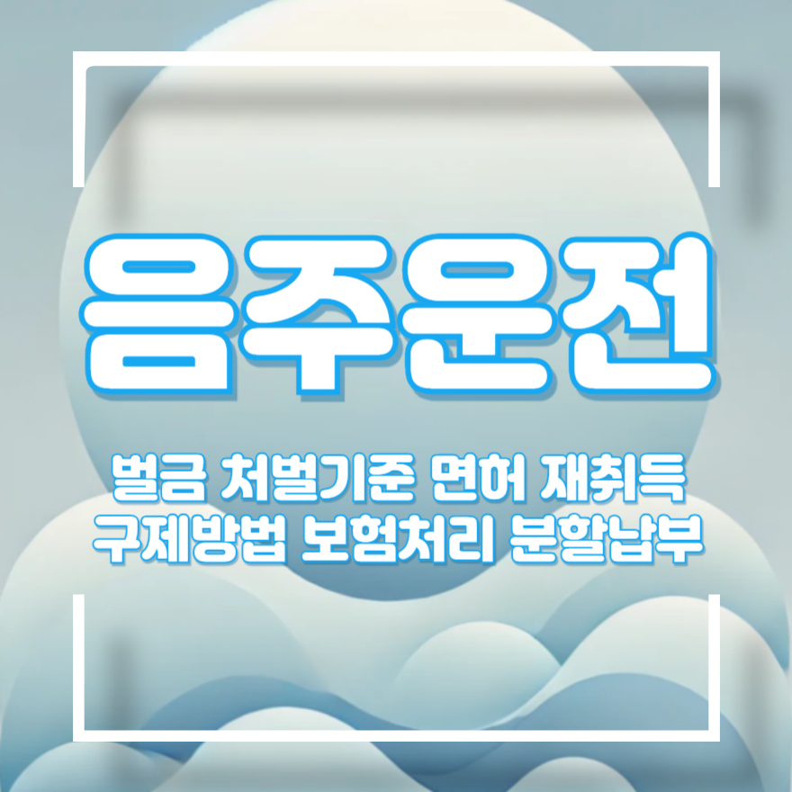 음주운전 벌금 조회